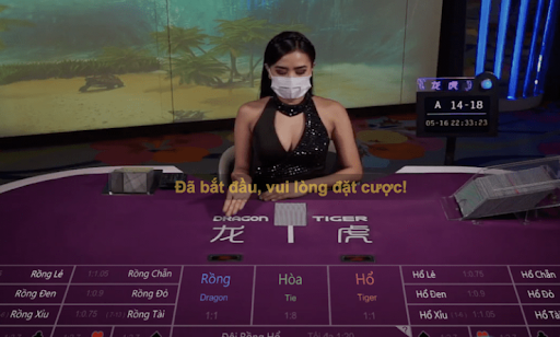 Chiến Thuật Chinh Phục Rồng Hổ BetVisa